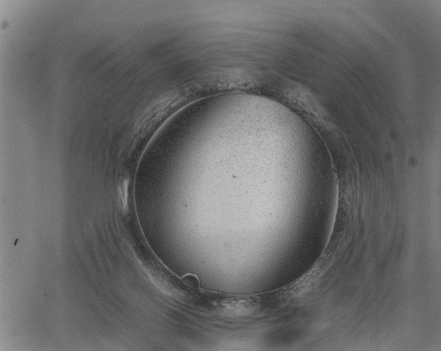 X0000064750070200602131237