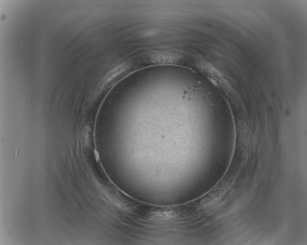 X0000064750071200602131237