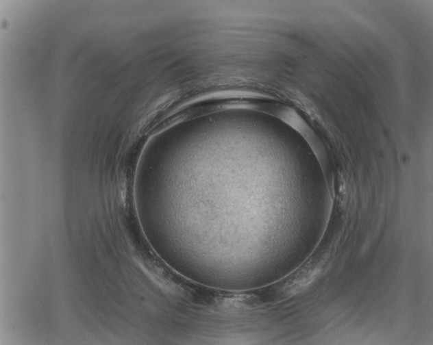 X0000064750072200602131237