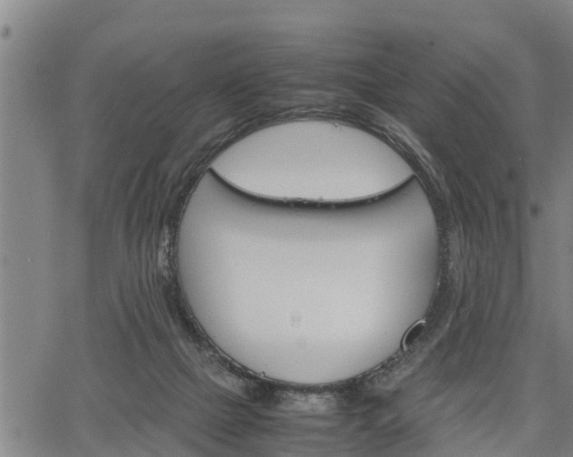 X0000064750073200602131237