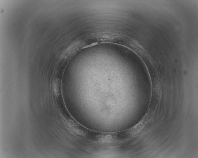 X0000064750074200602131237