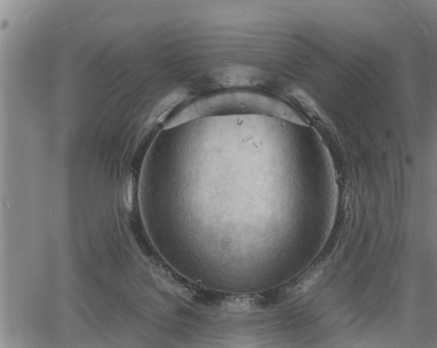 X0000064750076200602131237