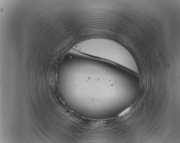 X0000064750078200602131237