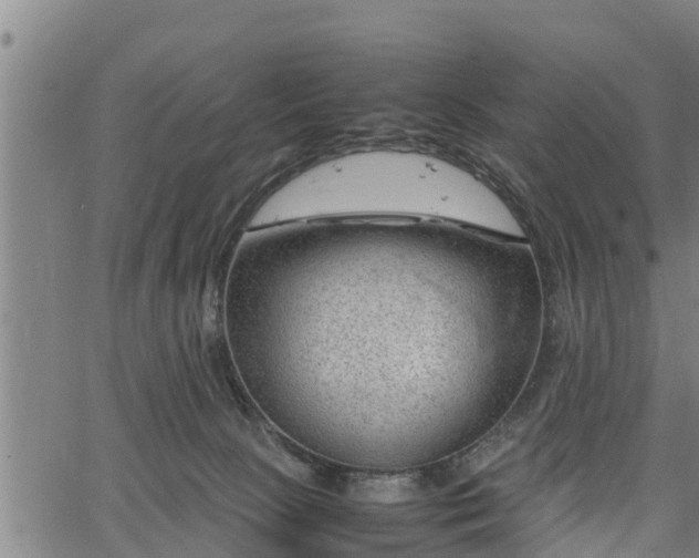 X0000064750081200602131237