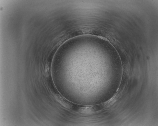 X0000064750082200602131237