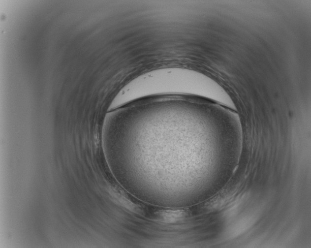 X0000064750085200602131237