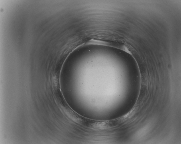 X0000064750086200602131237