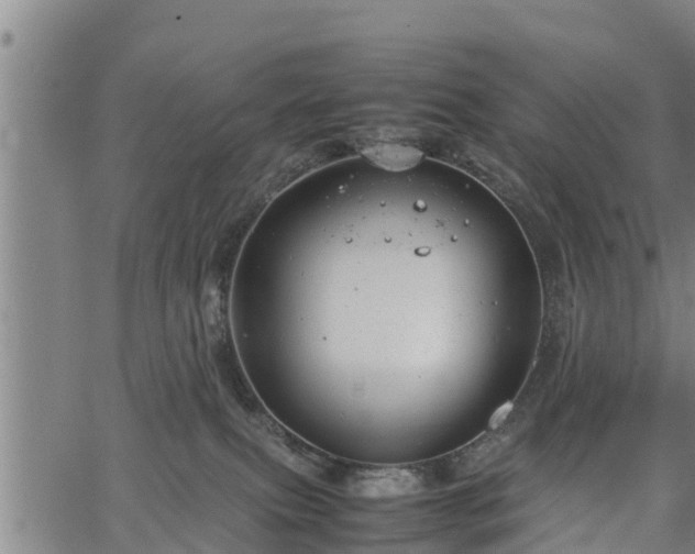 X0000064750087200602131237