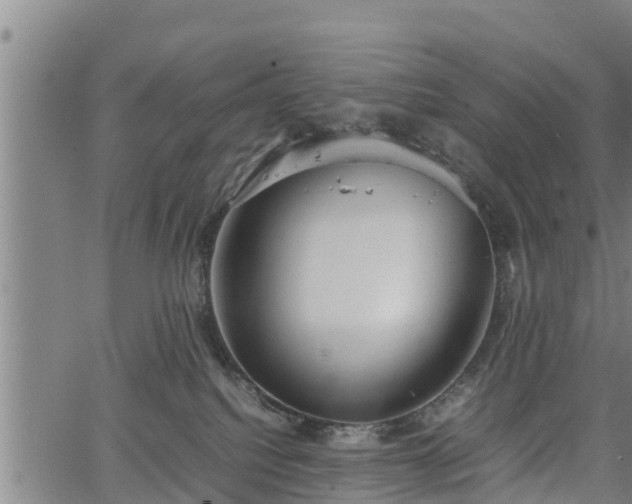 X0000064750088200602131237