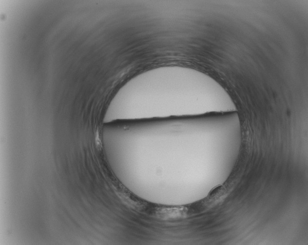 X0000064750089200602131237