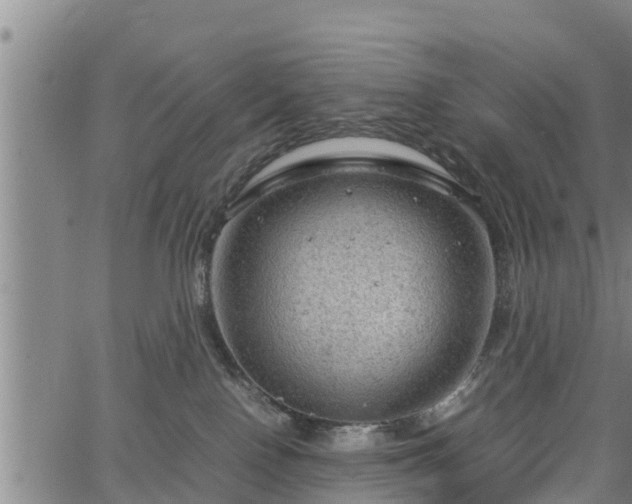 X0000064750090200602131237