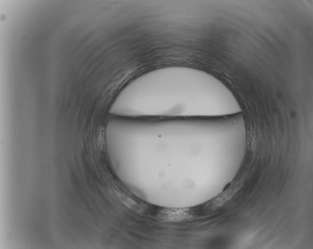 X0000064750093200602131237