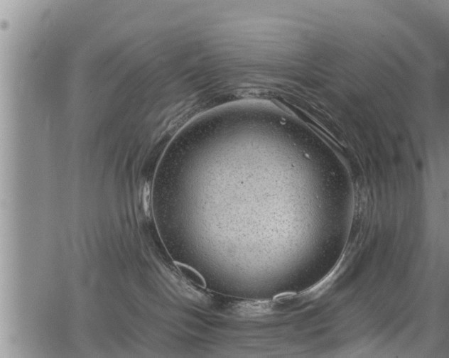 X0000064750094200602131237