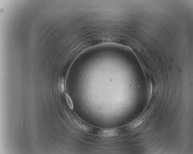 X0000064750095200602131237