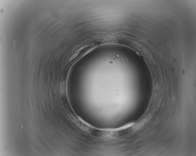 X0000064750096200602131237