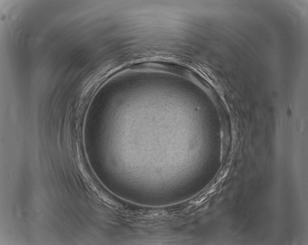 X0000064750097200602131236