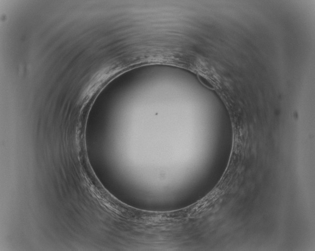 X0000064750098200602131236