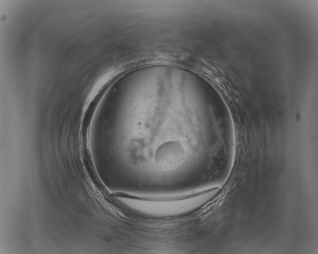 X0000064750102200602131236