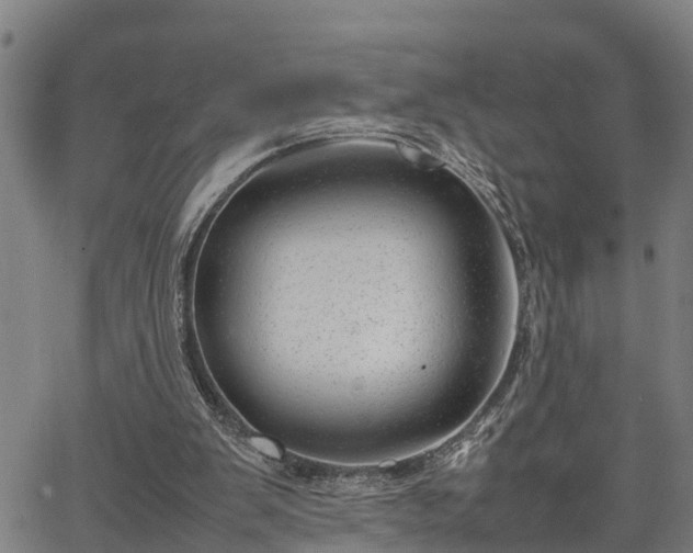 X0000064750103200602131236