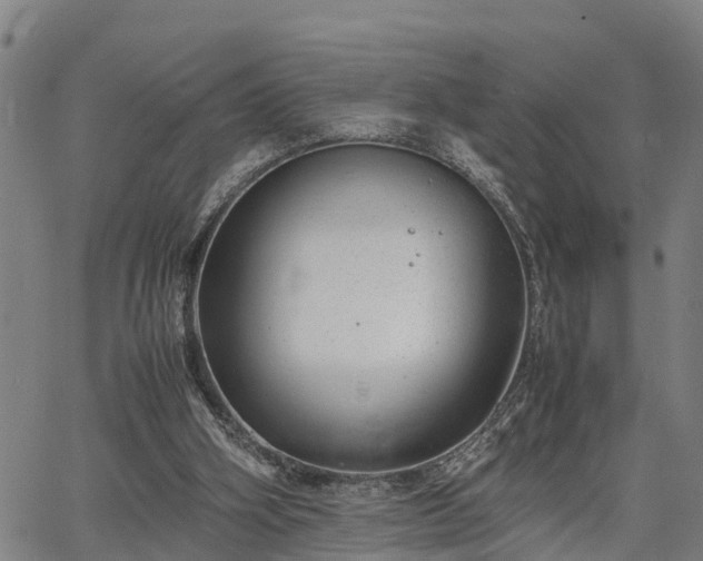 X0000064750106200602131236