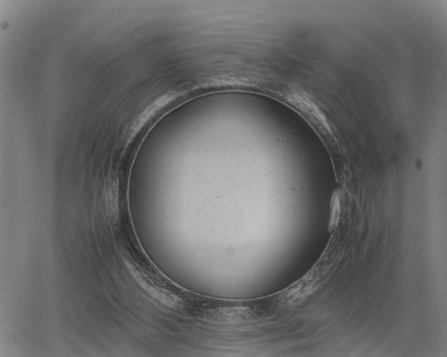 X0000064750108200602131236