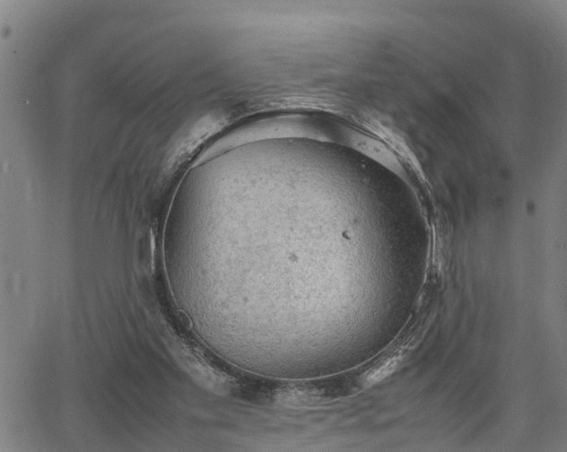 X0000064750109200602131236