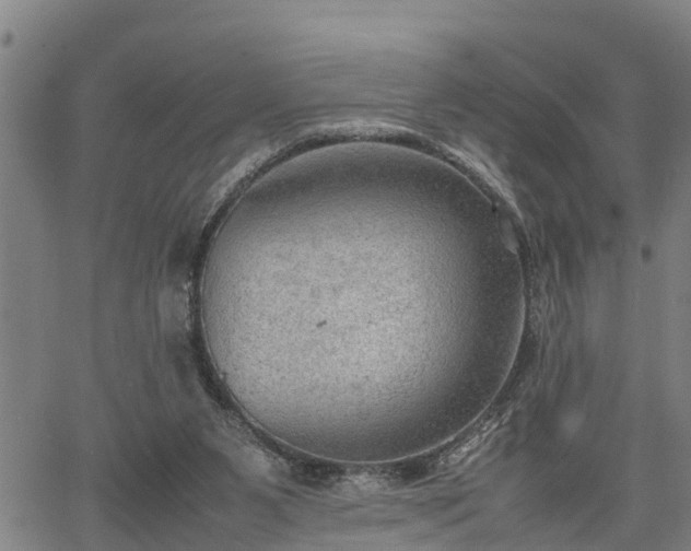 X0000064750111200602131236