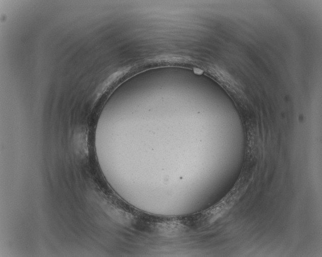 X0000064750112200602131236