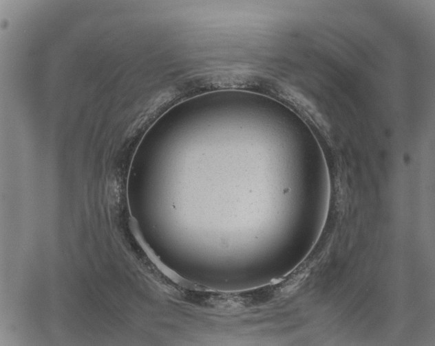 X0000064750113200602131236