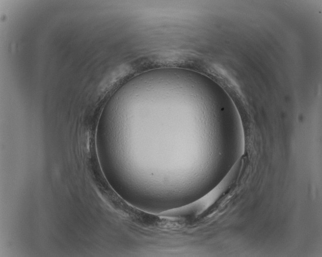 X0000064750115200602131236