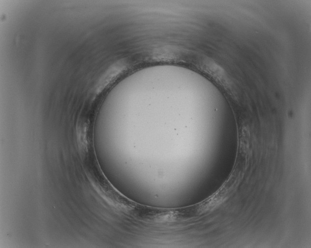 X0000064750116200602131236