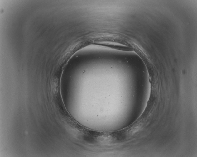 X0000064750119200602131236