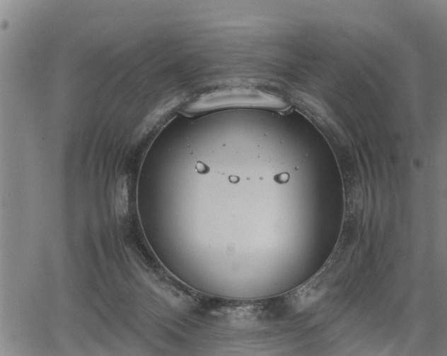 X0000064750120200602131236