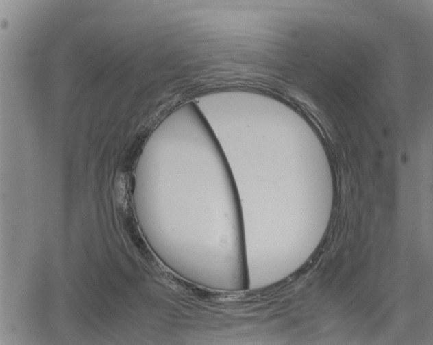 X0000064750121200602131236