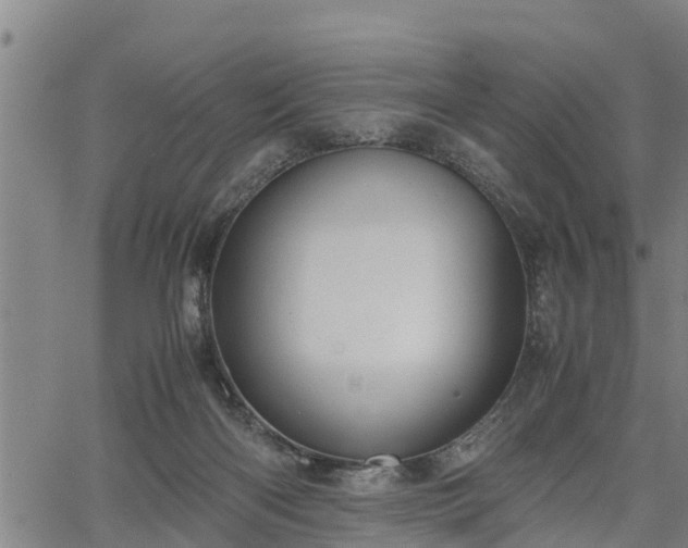 X0000064750122200602131236