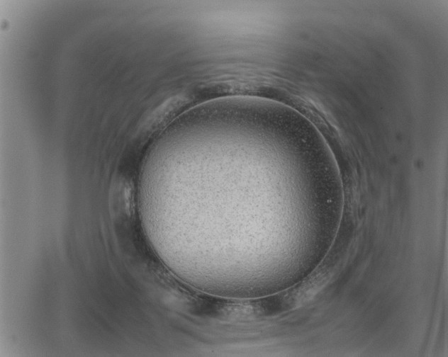 X0000064750123200602131236