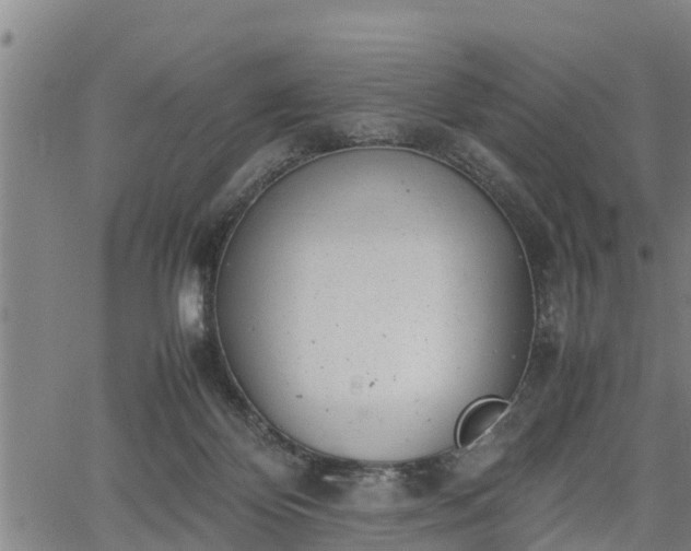 X0000064750124200602131236