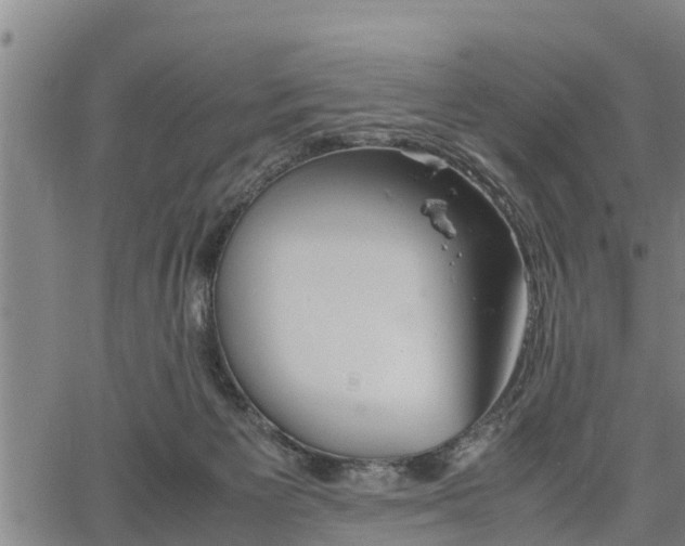 X0000064750125200602131236