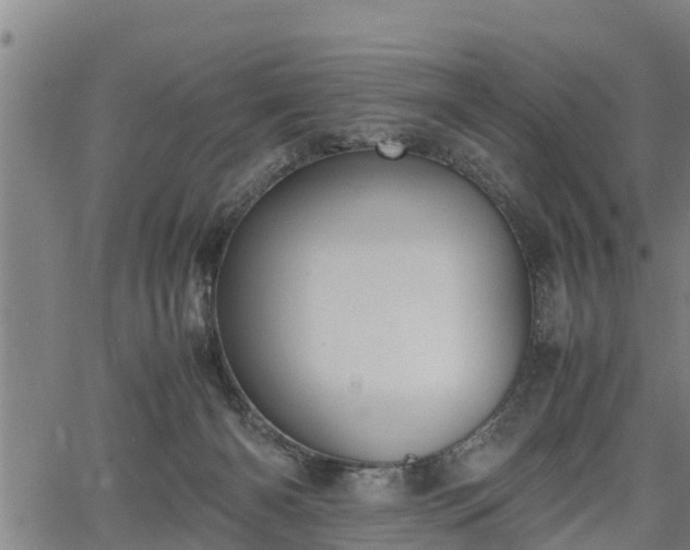 X0000064750126200602131236