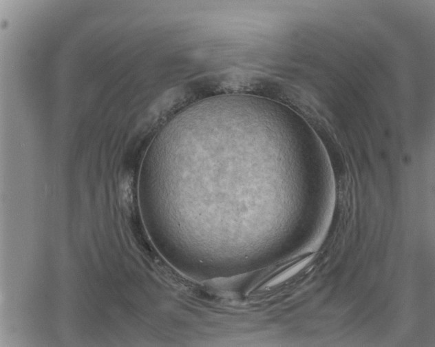 X0000064750127200602131236