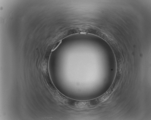 X0000064750129200602131236