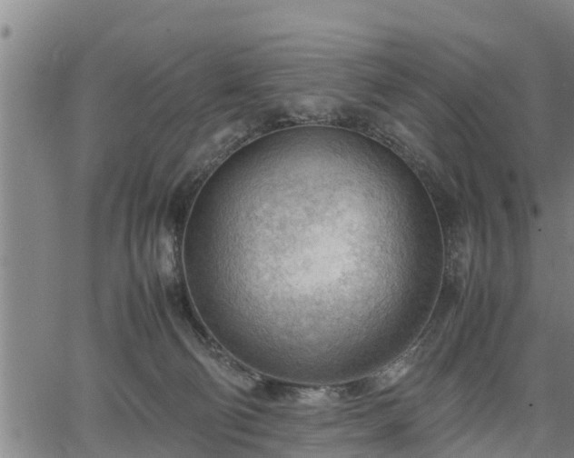 X0000064750130200602131236