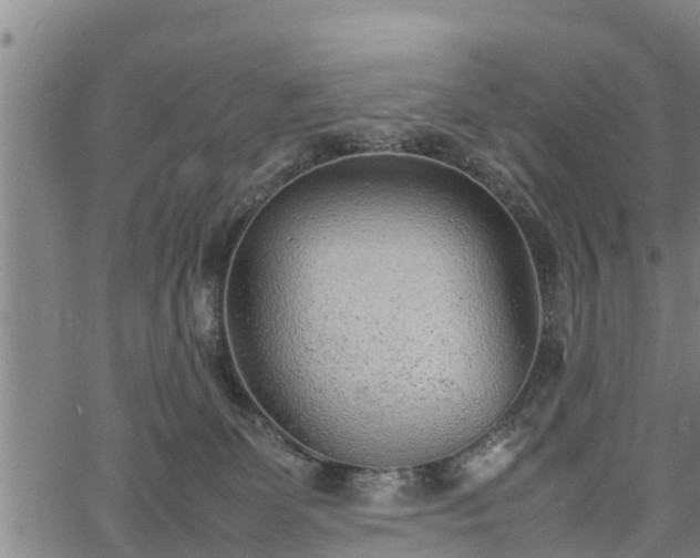 X0000064750131200602131236