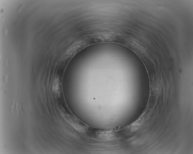 X0000064750132200602131236