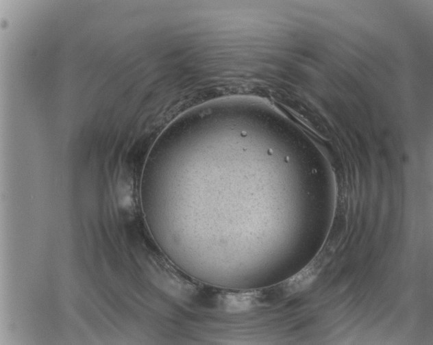 X0000064750134200602131236