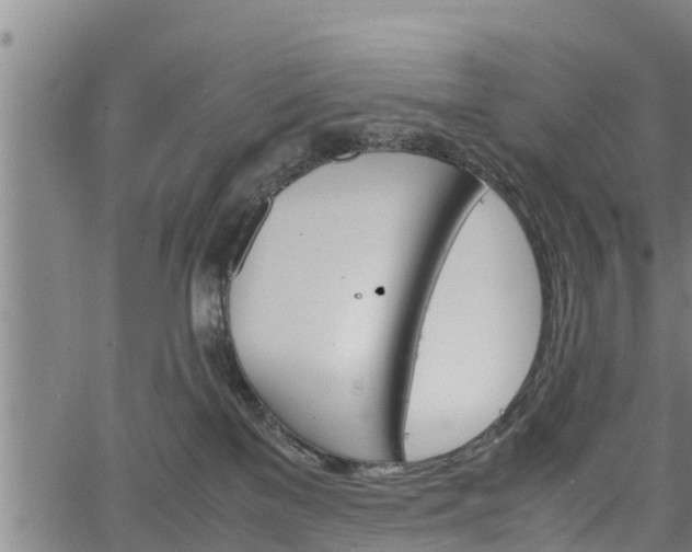 X0000064750137200602131236