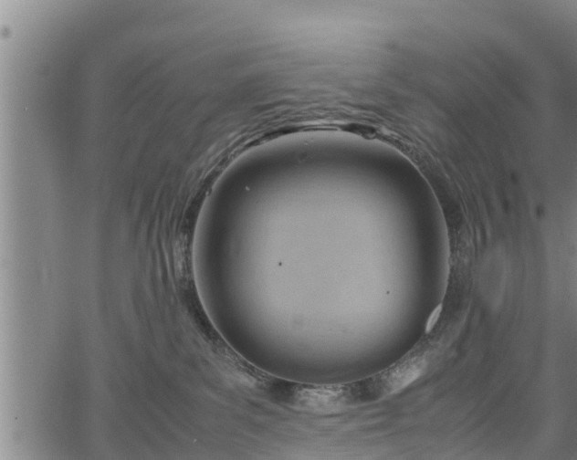 X0000064750139200602131236