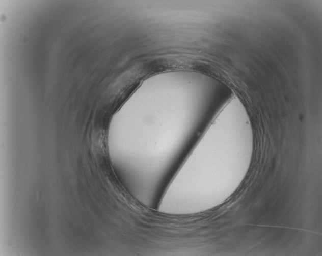 X0000064750141200602131236