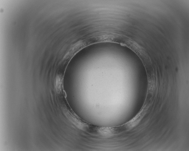 X0000064750142200602131236