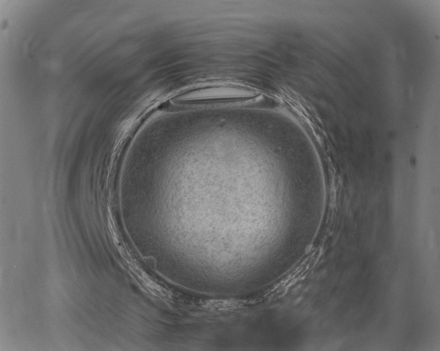 X0000064750145200602131235